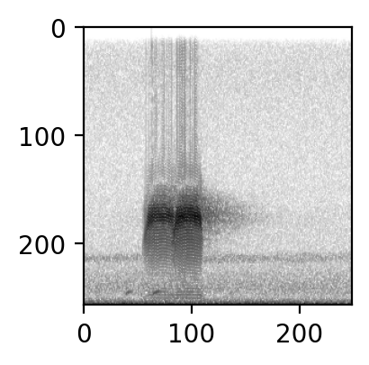 ../_images/tutorials_preprocess_audio_dataset_109_0.png