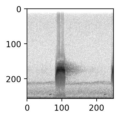 ../_images/tutorials_preprocess_audio_dataset_111_2.png